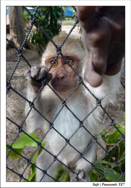 2009   08   Kho samui 48